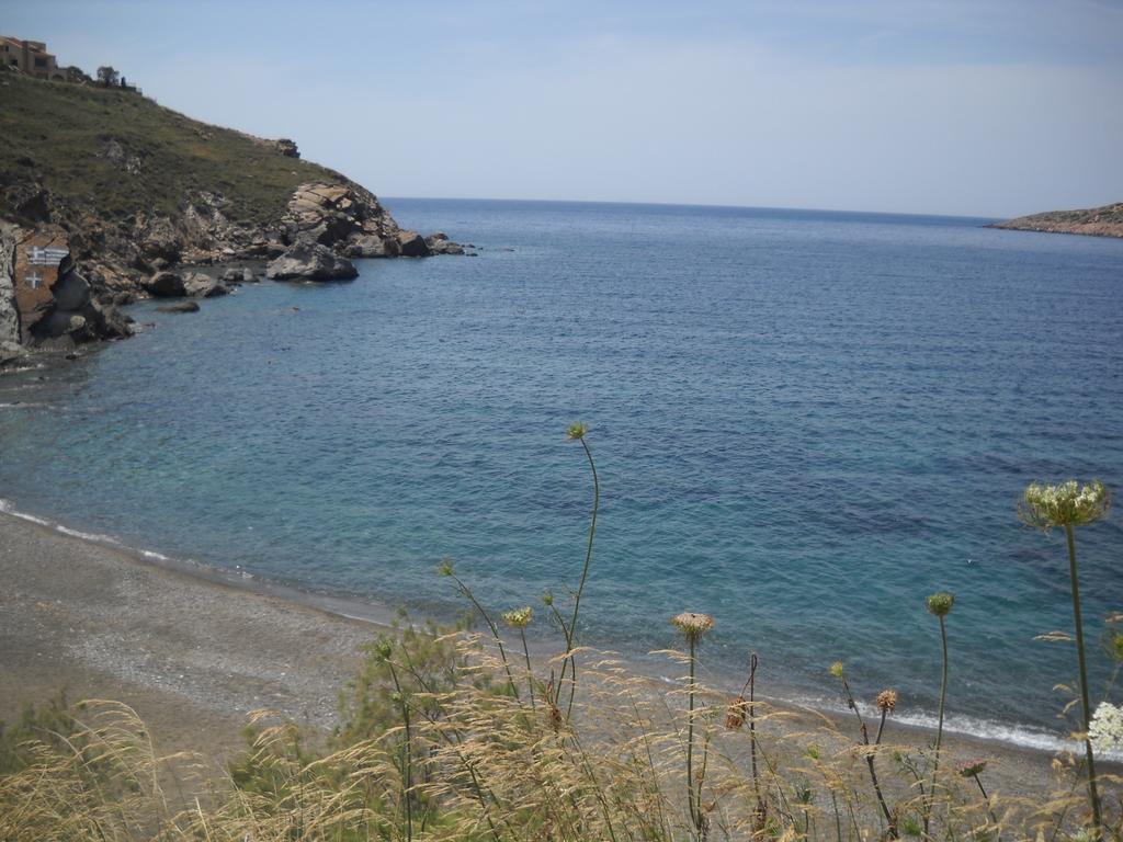 Amphitrite * Myrties
